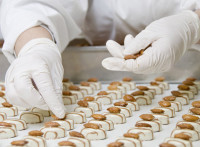 Anglia praca na produkcji w fabryce czekolady bez znajomości języka Kendal