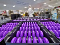 Anglia praca w Stockport dla Polaków przy pakowaniu leków od zaraz