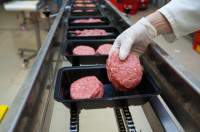 Wombwell Anglia praca na produkcji w fabryce mięsa od zaraz 2017