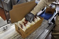 Bez języka praca Anglia dla par przy pakowaniu lodów na produkcji 2018 w Nottingham
