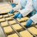 pakowanie sera praca zagranica 2023 pakowacze