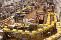 Anglia praca dla kobiet od zaraz na produkcji przy pakowaniu sera Londyn