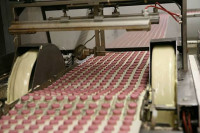 Praca Anglia przy taśmie produkcyjnej w fabryce spożywczej od zaraz Malton