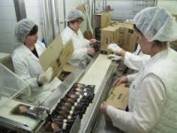 Anglia praca dla Polaków w fabryce na produkcji lodów Skelmersdale