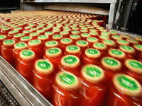 Bez języka dam pracę w Anglii na produkcji sosu pomidorowego od zaraz Portsmouth UK