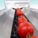 sortowanie warzyw pomidory