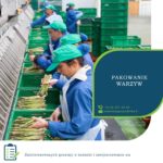 Anglia praca bez języka przy pakowaniu warzyw od kwietnia 2019 Farningham Kent UK