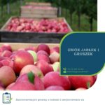 Sezonowa praca w Anglii przy zbiorach gruszek i jabłek od zaraz Kent, Tonbridge 2019
